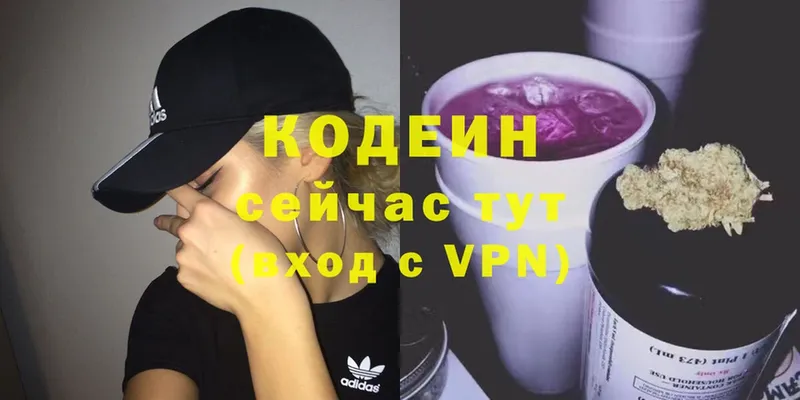 Кодеин Purple Drank  где купить наркоту  Пудож 