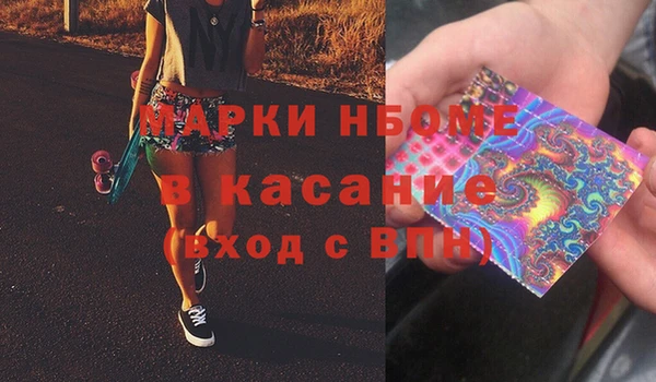 гидра Новозыбков