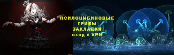 гидра Новозыбков