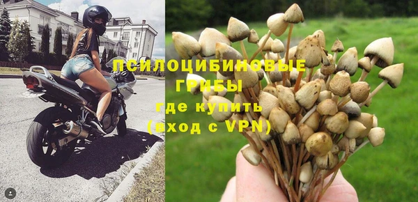 гидра Новозыбков