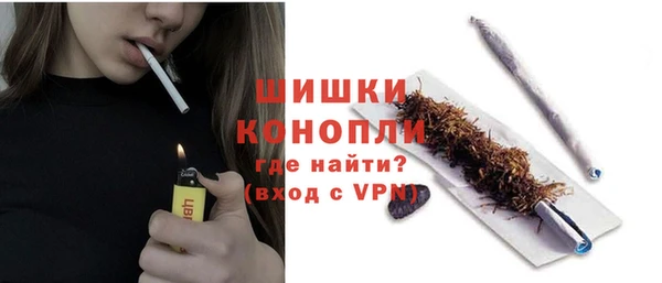 гидра Новозыбков