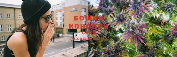 МДПВ Валдай