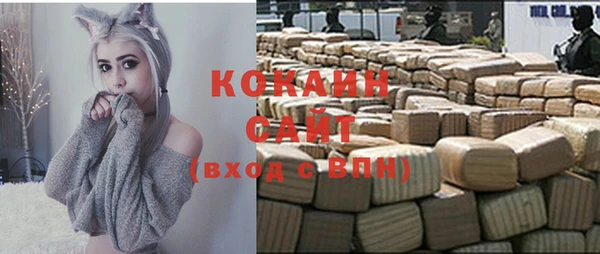 гидра Новозыбков