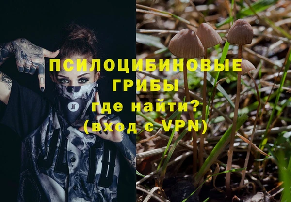 спайс Новодвинск