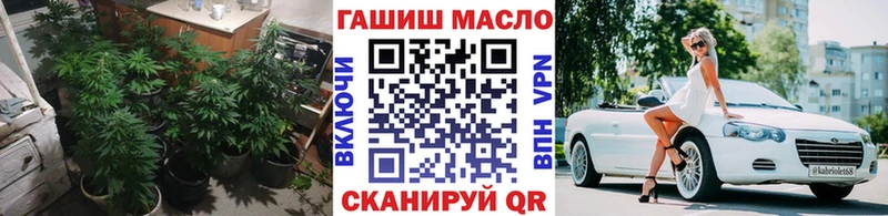 наркота  Пудож  гидра ссылка  Дистиллят ТГК вейп 